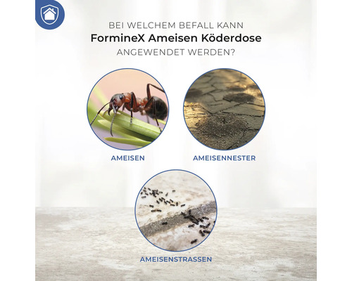 Anwendungsbereiche der FormineX Ameisen Köderdose: Ameisen, Ameisennester und Ameisenstraßen.