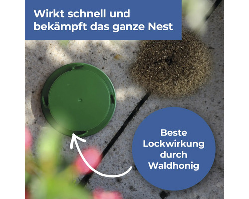 Ameisenköderdose neben einem Ameisenhaufen auf Pflastersteinen