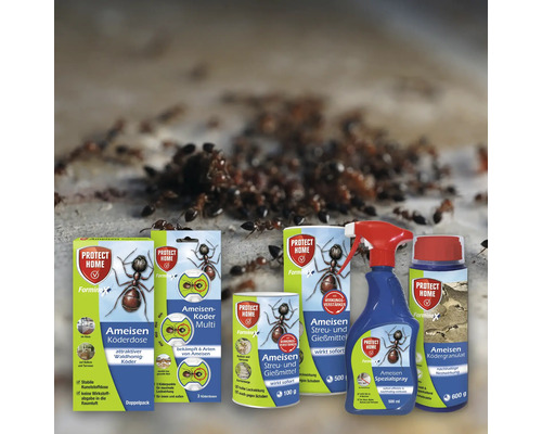 Eine Produktreihe von Protect Home Forminex Ameisenbekämpfungsmitteln vor einem Hintergrund von Ameisen.