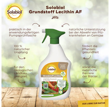 Solabiol Grundstoff Lecithin AF in anwendungsfertiger Sprühflasche zur Unterstützung der Abwehr von Pilzkrankheiten bei Gemüse