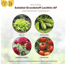 Anwendungsbereiche von Solabiol Grundstoff Lecithin AF: Salat, Zucchini, Zierpflanzen, Tomaten
