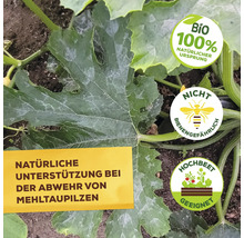 Natürliche Unterstützung zur Abwehr von Mehltaupilzen. Bio Siegel: 100 Prozent natürlicher Ursprung. Nicht bienengefährlich. Geeignet für Hochbeete.