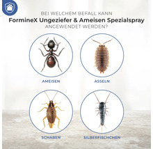 Forminex Spezial Spray Einsatz gegen Ameisen, Asseln, Schaben und Silberfischchen