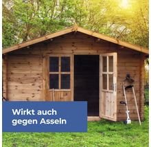 Gartenhaus aus Holz mit geöffneter Tür und Gartengeräten