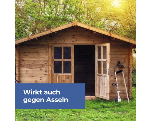 Gartenhaus aus Holz mit geöffneter Tür und Gartengeräten