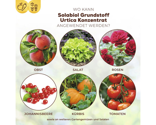 Domaines d''application du concentré Solabiol Substance de base Urtica : fruits, salades, roses, groseilles, courges et tomates.