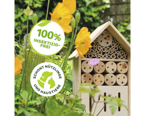 Hôtel à insectes avec informations sur l''absence d''insecticides et la protection des animaux domestiques et des insectes utiles