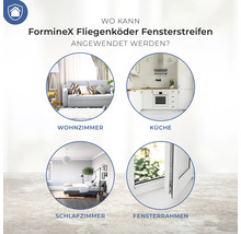 Anwendungsbereiche von FormineX Fliegenköder Fensterstreifen: Wohnzimmer, Küche, Schlafzimmer, Fensterrahmen
