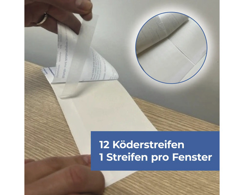 Klebestreifen zur Fensterbefestigung, Packung mit zwölf Stück