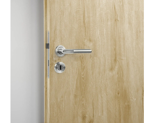 Porte en bois avec poignée de porte argentée