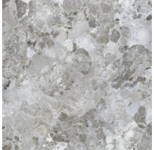 Carreau en grès cérame gris avec motif de pierre