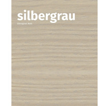 Farbmuster Silbergrau, Matt