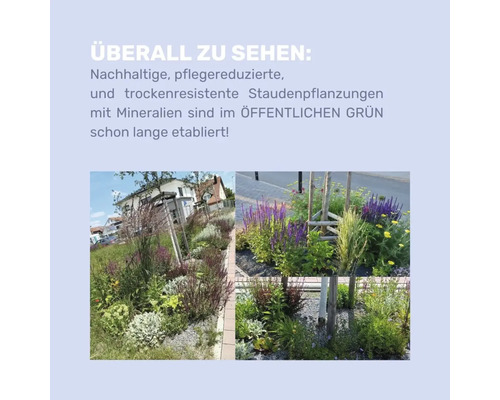 Ansichten von nachhaltigen, pflegeleichten und trockenheitsresistenten Staudenbepflanzungen im öffentlichen Grünbereich.