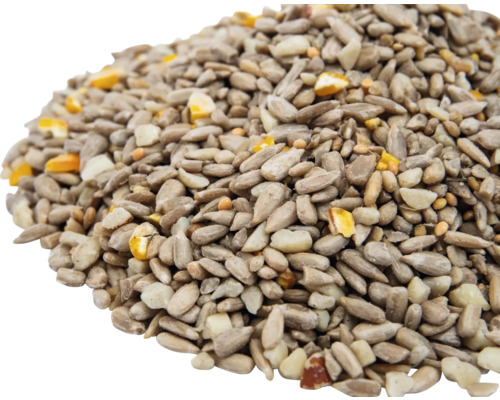 Sonnenblumenkerne und Getreidekörner für Vogelfutter