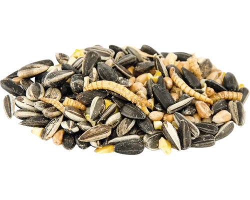 Mischung aus Sonnenblumenkernen, Nüssen und Mehlwürmern als Vogelfutter