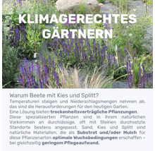 Jardin adapté au climat avec des plantes résistantes à la sécheresse, du gravier et du gravillon.