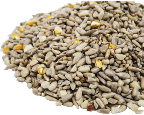 Sonnenblumenkerne und Getreide als Vogelfutter