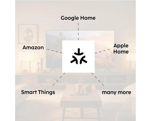 Compatibilité avec les systèmes de maison intelligente tels que Google Home, Amazon, Apple Home et Smart Things.