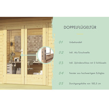 Double porte en bois avec fenêtres en verre pour abri de jardin