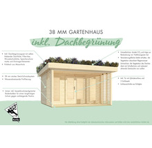 Abri de jardin de 38 mm avec toit végétalisé et toit monopente en bois massif