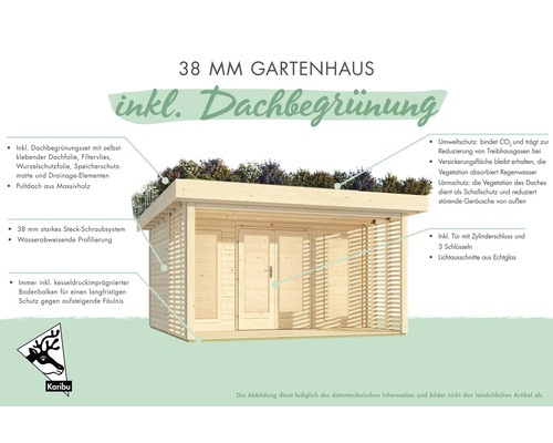 Abri de jardin de 38 mm avec toit végétalisé et toit monopente en bois massif