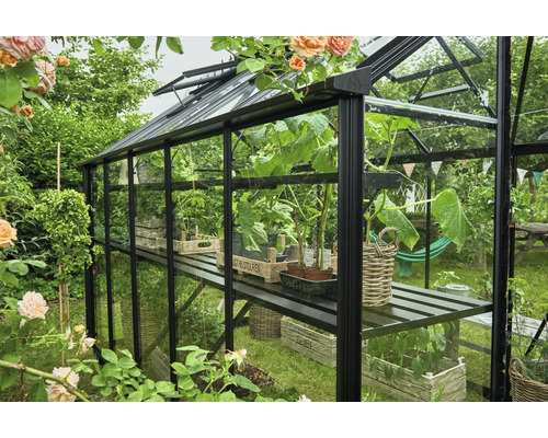 Serre avec des plantes dans un jardin