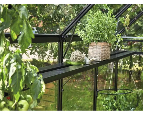 Vue intérieure d''une serre avec plantes, table de plantation et accessoires de jardin