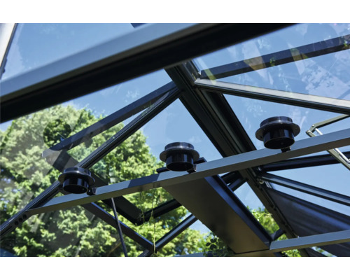 Innenansicht eines Gewächshauses mit Belüftungssystem