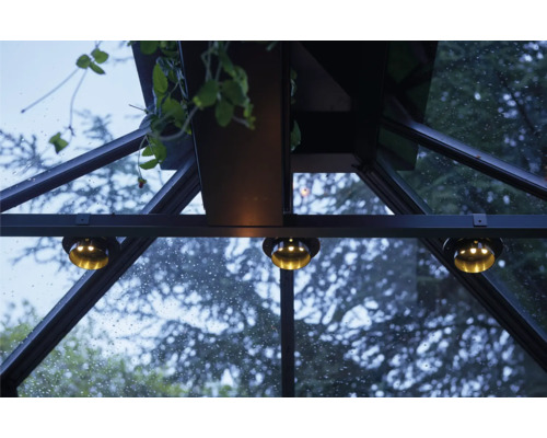 Innenansicht eines Gewächshauses mit integrierter Beleuchtung