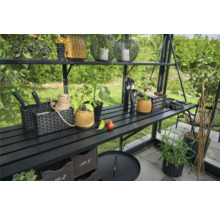 Gewächshaus mit Regalen und Gartenzubehör wie Töpfe, Pflanzen und Werkzeuge.