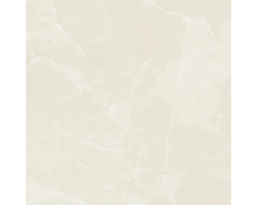 Feinsteinzeug Wand- und Bodenfliese Sheffield ivory poliert und rektifiziert 119 x 119 x 1,05 cm