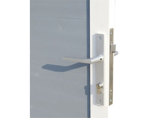 Porte avec ferrures et serrure