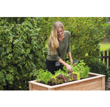 Femme plantant de la salade et des herbes aromatiques dans un potager surélevé dans le jardin.