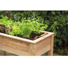Jardinière surélevée avec laitue, ciboulette, menthe et une pelle de jardin