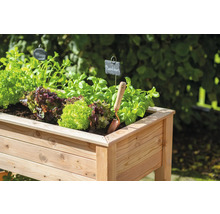Jardinière surélevée en bois plantée de salade et d''herbes aromatiques, avec une petite pelle