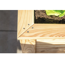 Vue détaillée d''un potager surélevé en bois avec des vis