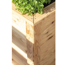 Vue détaillée d''un potager surélevé en bois avec plante