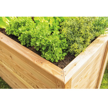 Jardinière surélevée en bois plantée d''herbes et de légumes