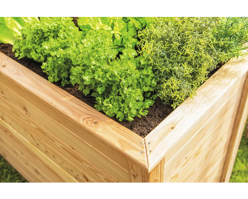 Jardinière surélevée en bois plantée d''herbes et de légumes