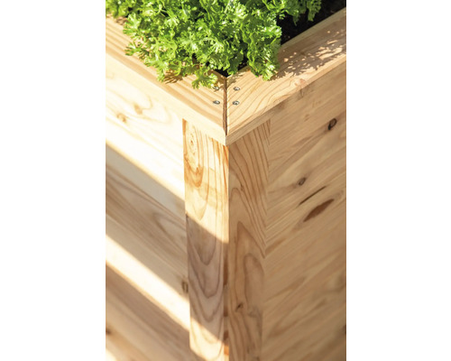 Vue détaillée d''un potager surélevé en bois avec des plantations.