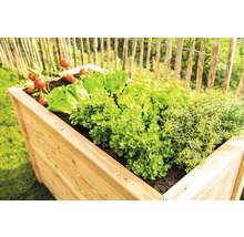 Jardinière surélevée en bois avec salade, herbes aromatiques et tomates