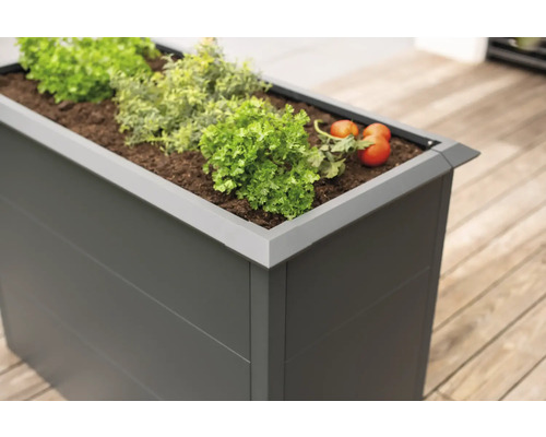 Jardinière surélevée avec plantes et tomates