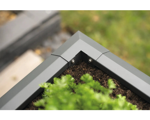 Gros plan d''un potager surélevé gris avec des plantations et des raccords d''angle