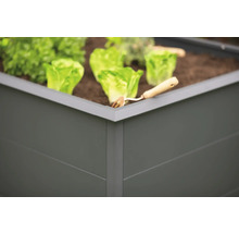 Gros plan d''un potager surélevé avec des laitues et un petit râteau.