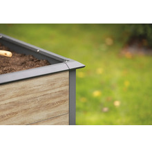 Vue détaillée d''un potager surélevé avec une structure en bois et un cadre en métal