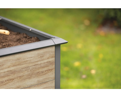 Vue détaillée d''un potager surélevé avec une structure en bois et un cadre en métal