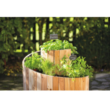Spirale à herbes aromatiques en bois avec diverses herbes telles que le basilic et la menthe