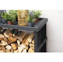 Étagère à bois remplie de bois de chauffage et décorée de plantes