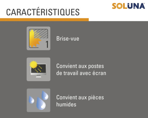 Caractéristiques Soluna : brise-vue, convient aux postes de travail avec écran, convient aux pièces humides