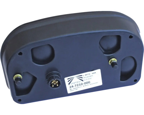 Elektronische Steuereinheit